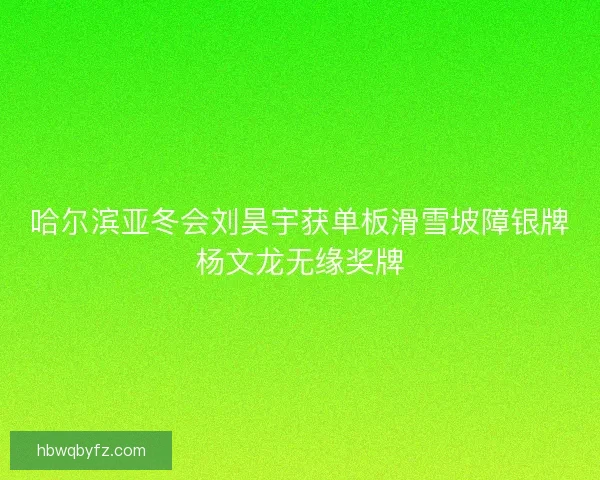 哈尔滨亚冬会刘昊宇获单板滑雪坡障银牌杨文龙无缘奖牌 哈尔滨亚冬会刘昊宇获单板滑雪坡障银牌杨文龙无缘奖牌